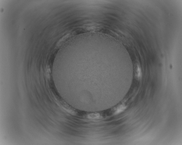 X0000070410279200606231836