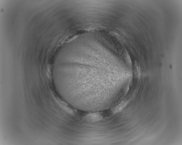 X0000070410280200606231836