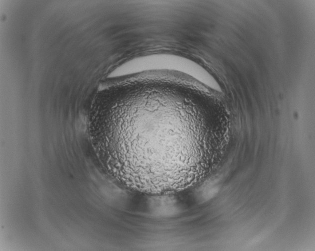 X0000070410281200606231836