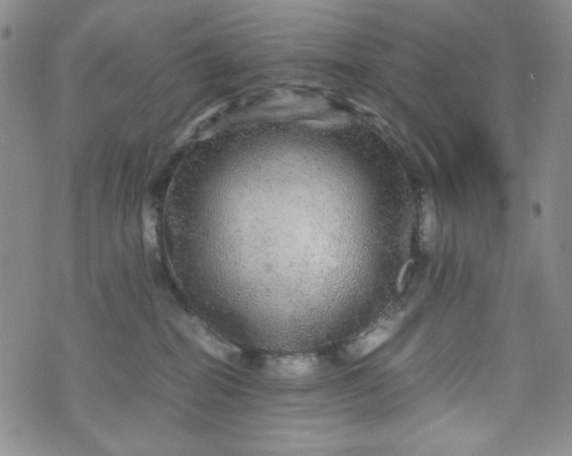 X0000070410282200606231836