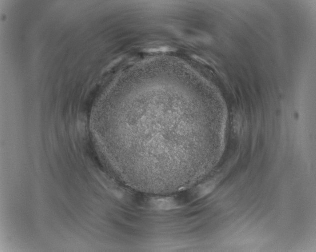 X0000070410283200606231836