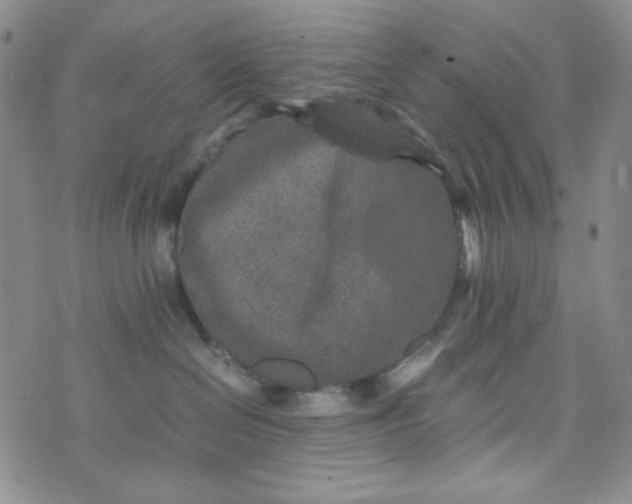 X0000070410286200606231836