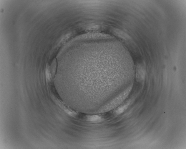 X0000070410287200606231836