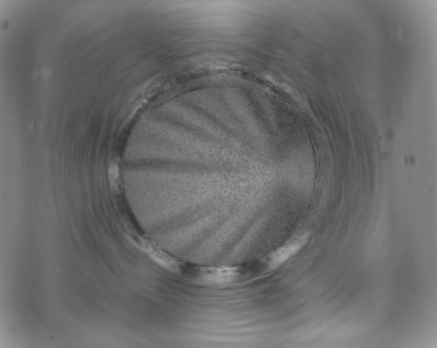 X0000070410288200606231836