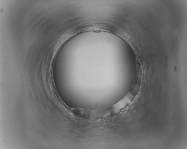 X0000070410289200606231835