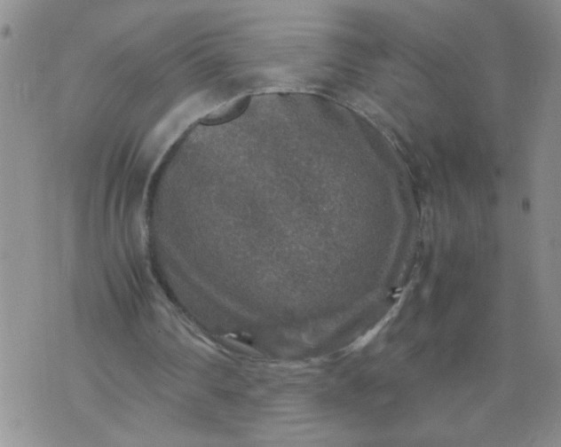 X0000070410290200606231835