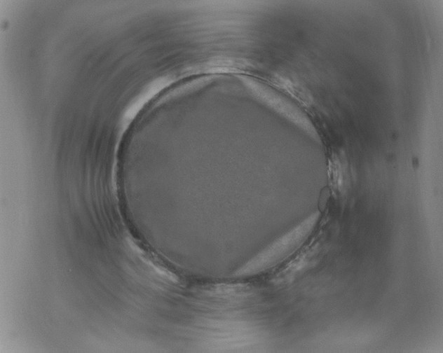 X0000070410292200606231835