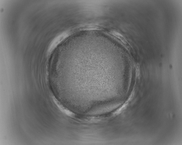 X0000070410293200606231835