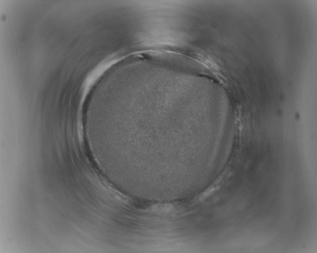 X0000070410294200606231835