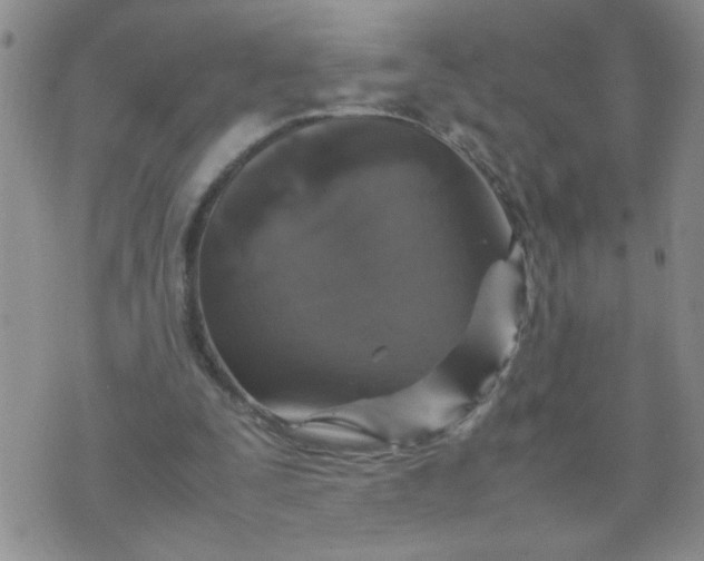 X0000070410295200606231835