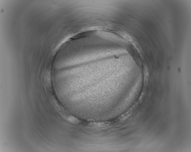 X0000070410297200606231835