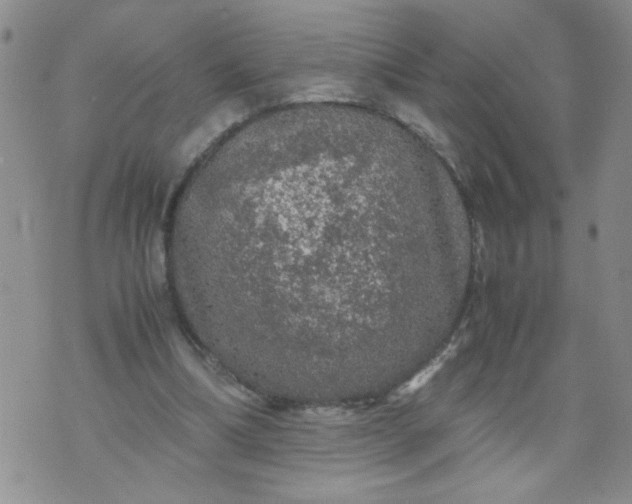 X0000070410298200606231835