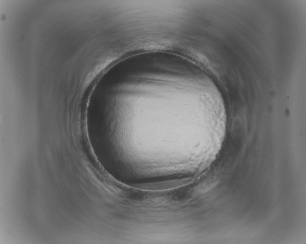 X0000070410299200606231835