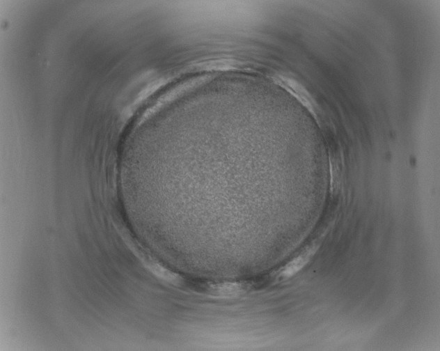 X0000070410301200606231835