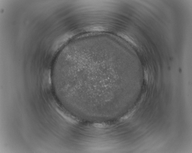 X0000070410302200606231835