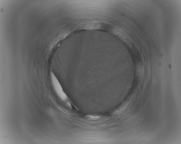 X0000070410303200606231835