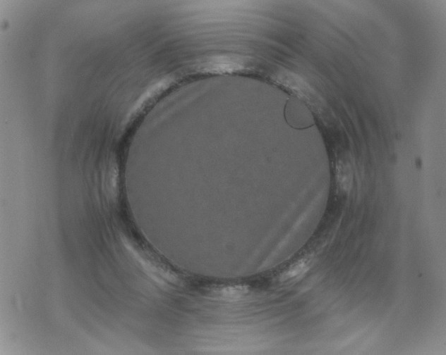 X0000070410304200606231835