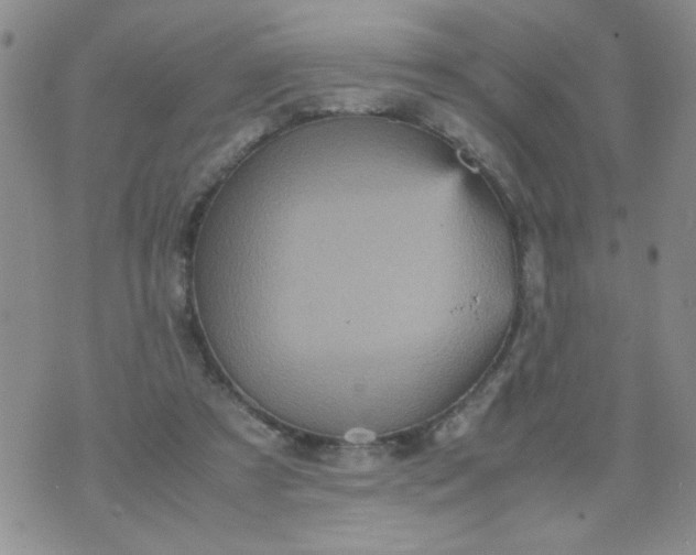 X0000070410305200606231835