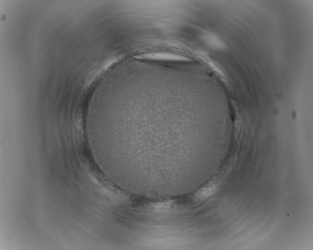 X0000070410306200606231835