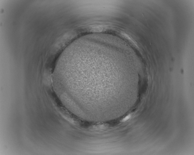 X0000070410307200606231835