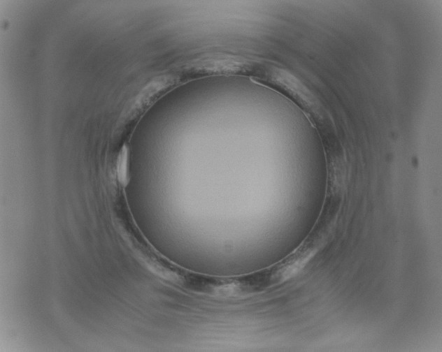 X0000070410309200606231835