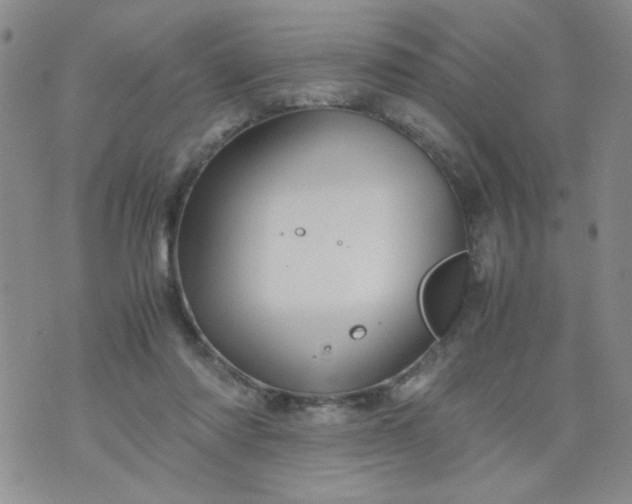 X0000070410310200606231835