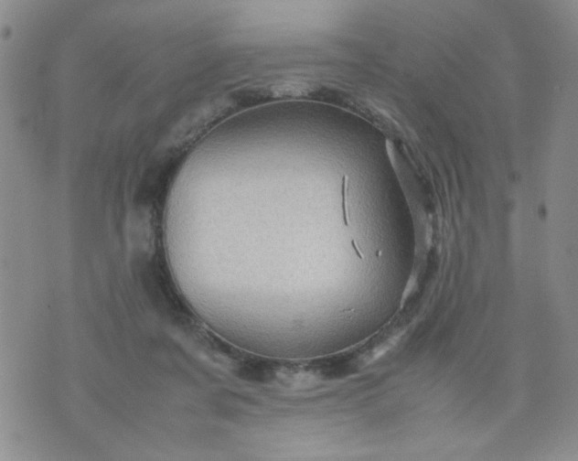 X0000070410311200606231835