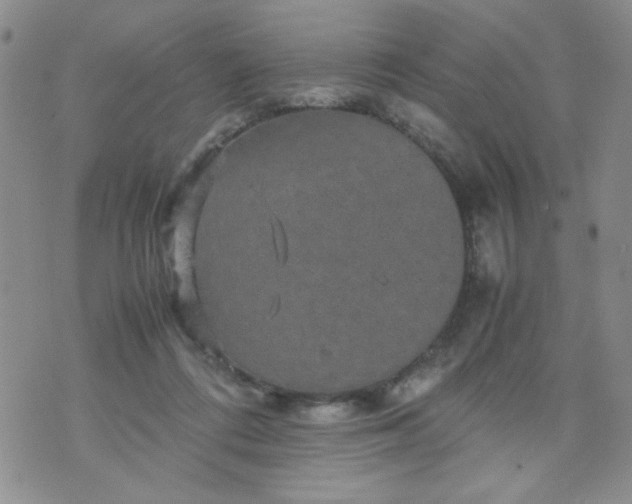 X0000070410312200606231835