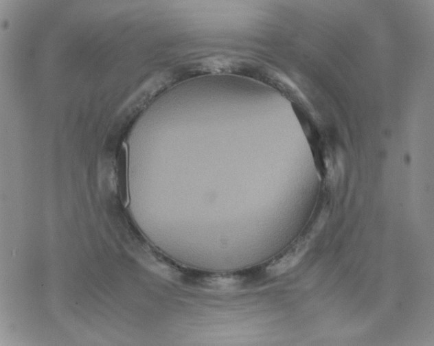 X0000070410313200606231835