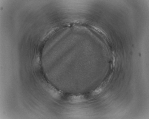 X0000070410314200606231835