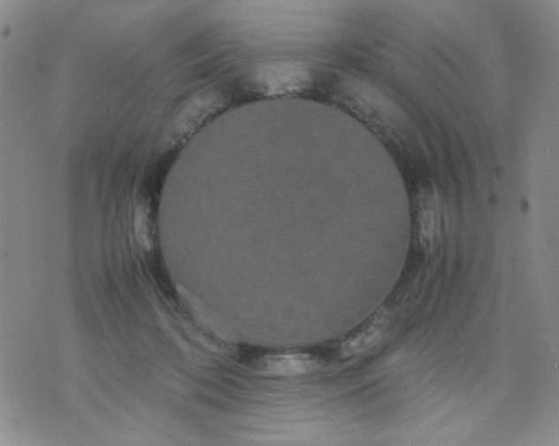 X0000070410316200606231834