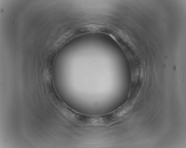 X0000070410317200606231834