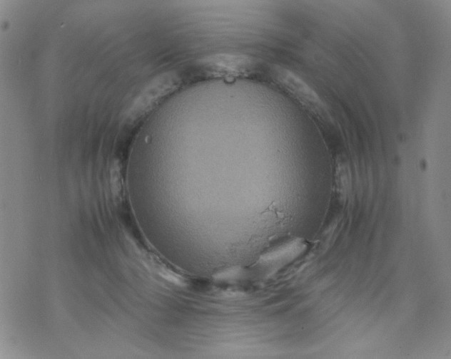 X0000070410318200606231834