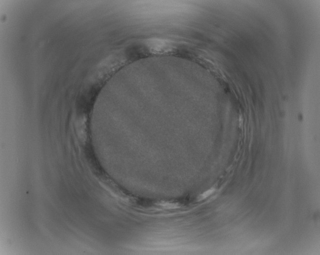 X0000070410319200606231834