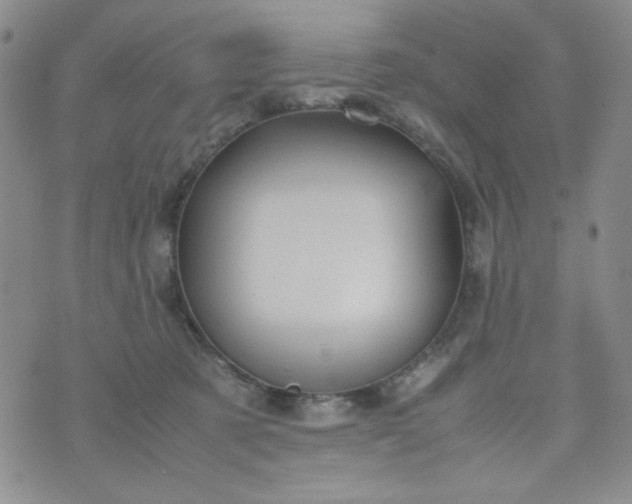 X0000070410321200606231834