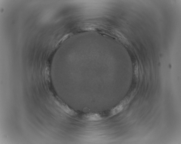 X0000070410322200606231834