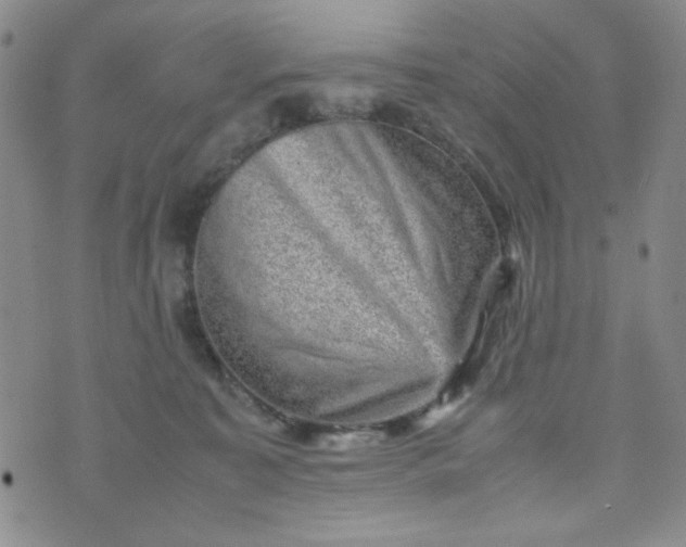 X0000070410323200606231834