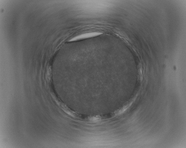 X0000070410325200606231834