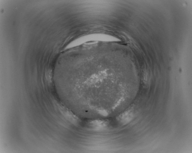 X0000070410326200606231834