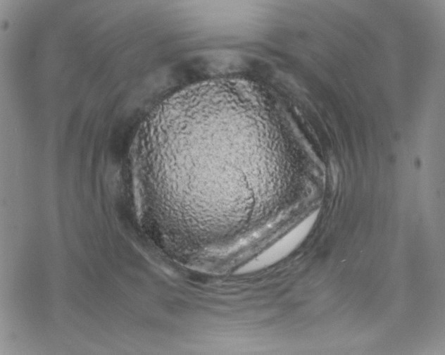 X0000070410327200606231834