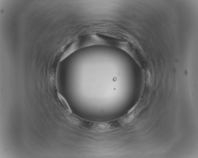 X0000070410329200606231834