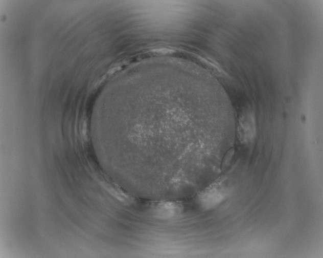 X0000070410330200606231834