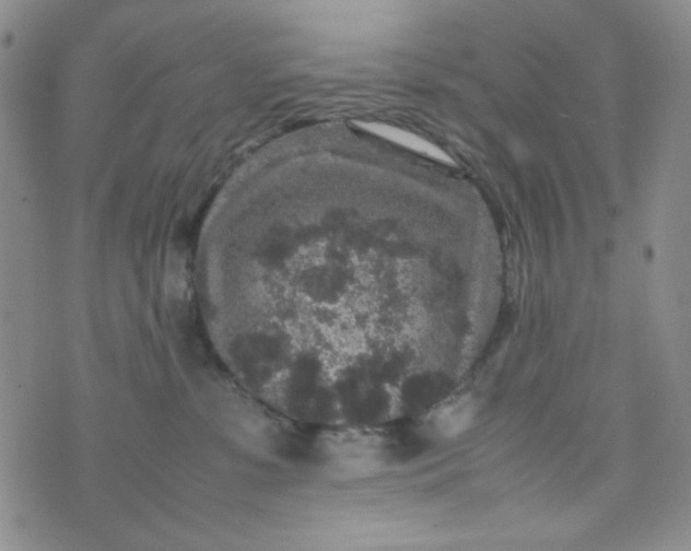 X0000070410331200606231834