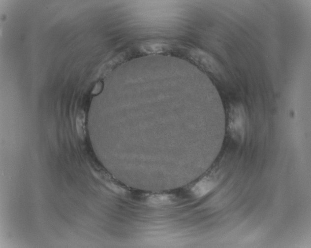 X0000070410332200606231834