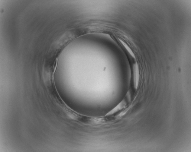 X0000070410333200606231834