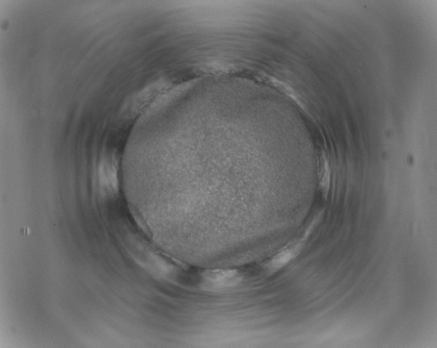 X0000070410334200606231834