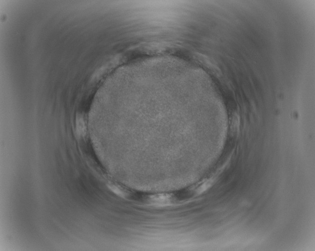 X0000070410335200606231834