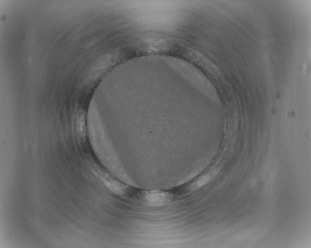 X0000070410336200606231834