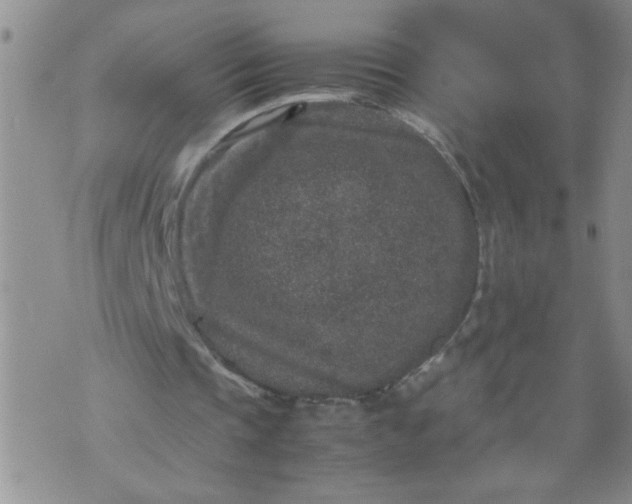 X0000070410337200606231833