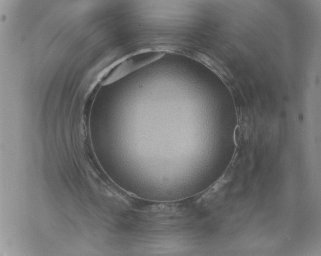 X0000070410338200606231833